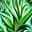 Wild Growth icon