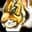 Tiger's Fury icon