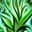 Wild Growth icon
