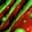 Infected Wounds icon