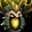 Festerbloom Crown icon
